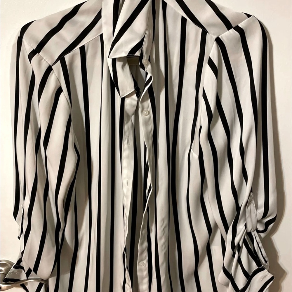 Black and white pinstripe Blouse